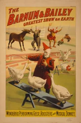 Cartaz do circo de Barnum e de Bailey, c.1900 (chromolithograph)